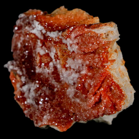 1.8" Sparkly Red Vanadinite Crystals On Orange Barite Blades Mineral Mabladen Morocco - Fossil Age Minerals