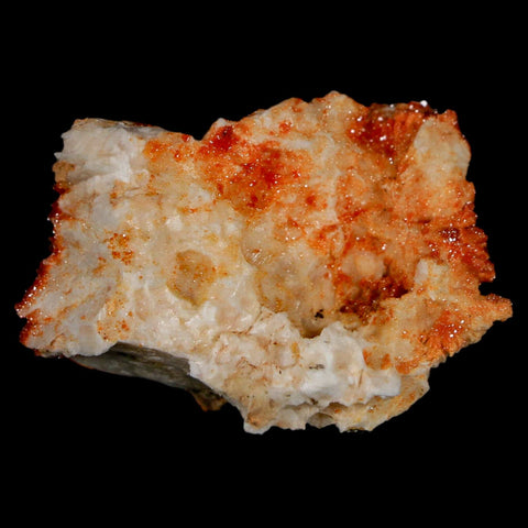 1.8" Sparkly Red Vanadinite Crystals On Orange Barite Blades Mineral Mabladen Morocco - Fossil Age Minerals