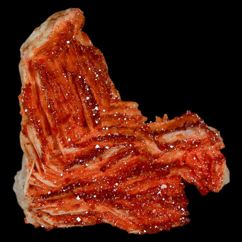 1.4" Sparkly Red Vanadinite Crystals On Orange Barite Blades Mineral Mabladen Morocco - Fossil Age Minerals