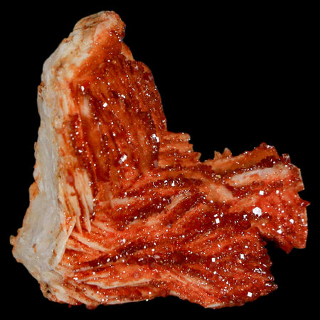 1.4" Sparkly Red Vanadinite Crystals On Orange Barite Blades Mineral Mabladen Morocco