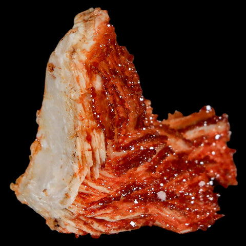 1.4" Sparkly Red Vanadinite Crystals On Orange Barite Blades Mineral Mabladen Morocco - Fossil Age Minerals