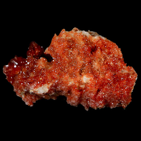 2" Sparkly Red Vanadinite Crystals On Orange Barite Blades Mineral Mabladen Morocco - Fossil Age Minerals