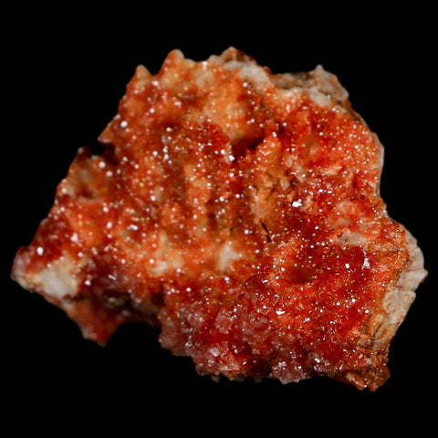 2" Sparkly Red Vanadinite Crystals On Orange Barite Blades Mineral Mabladen Morocco - Fossil Age Minerals