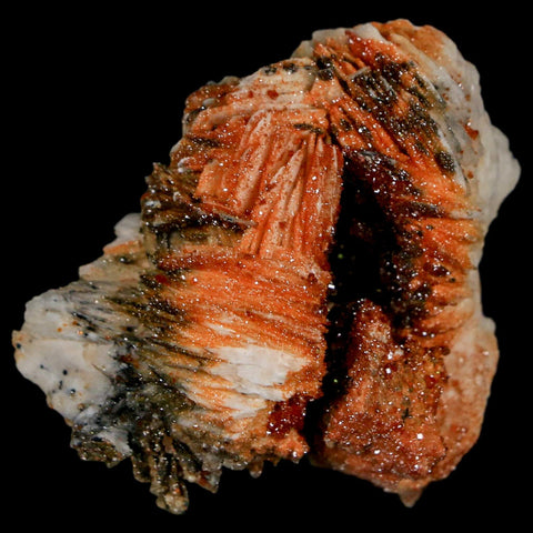 1.7" Sparkly Red Vanadinite Crystals On White Barite Blades Mineral Mabladen Morocco - Fossil Age Minerals