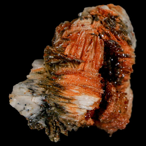 1.7" Sparkly Red Vanadinite Crystals On White Barite Blades Mineral Mabladen Morocco - Fossil Age Minerals