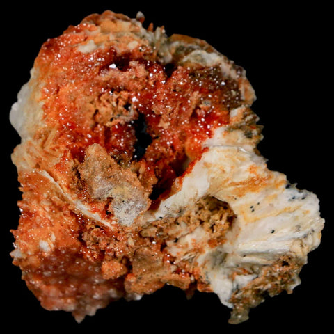 1.7" Sparkly Red Vanadinite Crystals On White Barite Blades Mineral Mabladen Morocco - Fossil Age Minerals