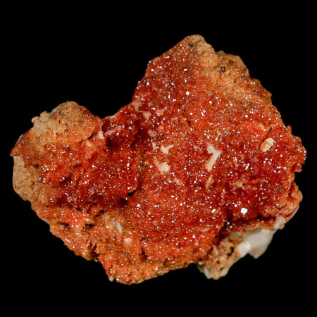 1.6" Sparkly Red Vanadinite Crystals On White Barite Blades Mineral Mabladen Morocco