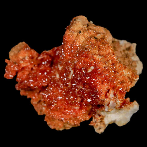 1.6" Sparkly Red Vanadinite Crystals On White Barite Blades Mineral Mabladen Morocco - Fossil Age Minerals