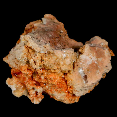 1.6" Sparkly Red Vanadinite Crystals On White Barite Blades Mineral Mabladen Morocco - Fossil Age Minerals