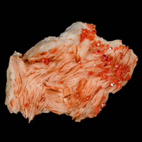 2.6" Sparkly Red Vanadinite Crystals On White Barite Blades Mineral Mabladen Morocco - Fossil Age Minerals