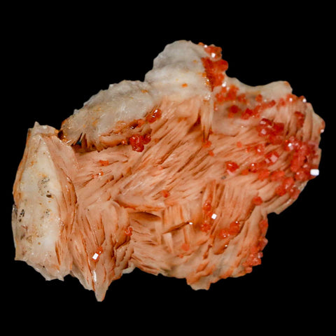 2.6" Sparkly Red Vanadinite Crystals On White Barite Blades Mineral Mabladen Morocco - Fossil Age Minerals