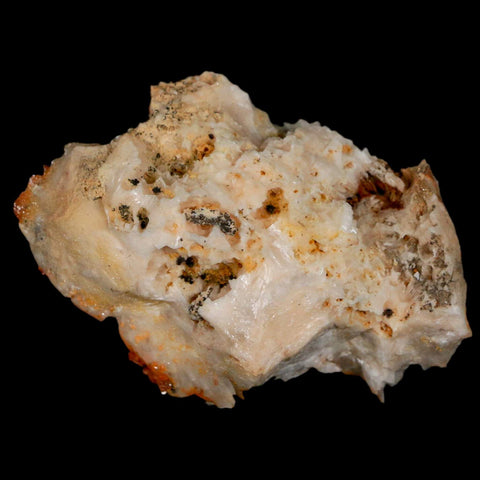 2.6" Sparkly Red Vanadinite Crystals On White Barite Blades Mineral Mabladen Morocco - Fossil Age Minerals