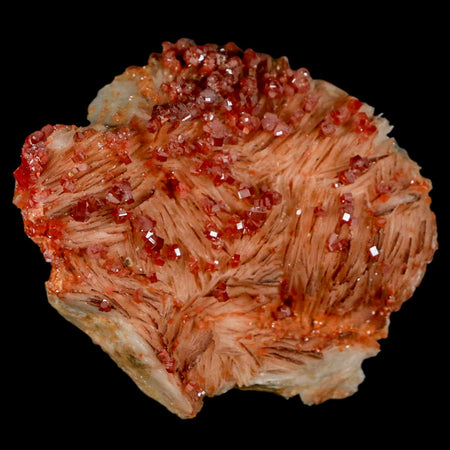 3" Sparkly Red Vanadinite Crystals On Orange Barite Blades Mineral Mabladen Morocco