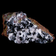 3.3" Crystal Quartz Cluster Geode Mineral Specimen Morocco