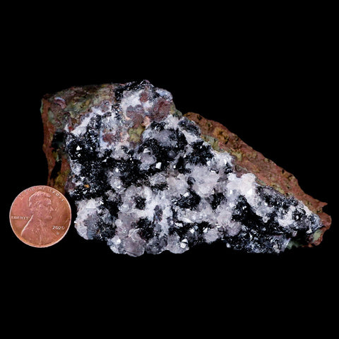 3.3" Crystal Quartz Cluster Geode Mineral Specimen Morocco - Fossil Age Minerals