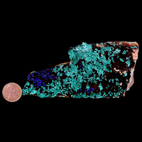 4.7" Azurite Crystals & Malachite On Barite Mineral Specimen Tiznit Morocco - Fossil Age Minerals