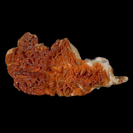 3.5" Sparkly Orange Vanadinite Crystals Orange Barite Blades Mineral Mabladen Morocco