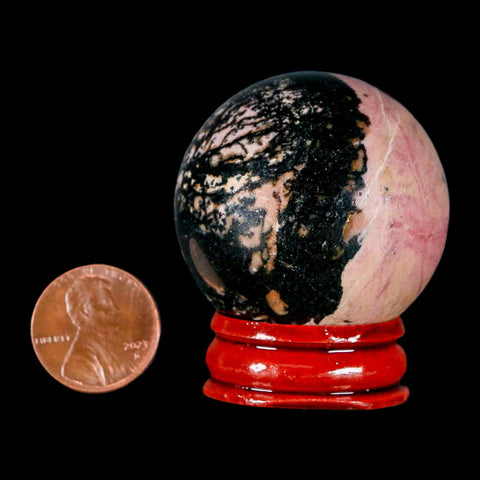 40MM Natural Rhodonite Mineral Crystal Sphere, Ball, Orb Peru Rosewood Stand - Fossil Age Minerals