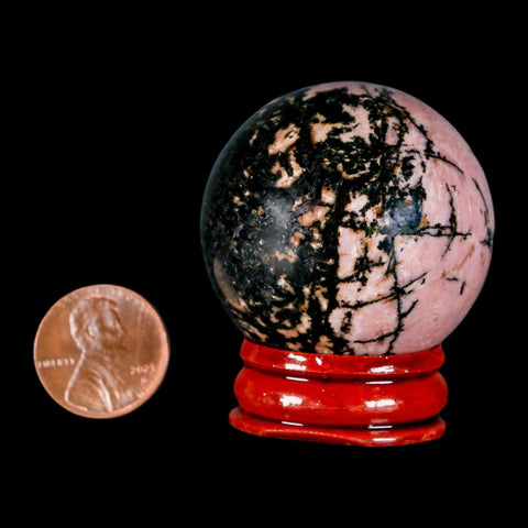 40MM Natural Rhodonite Mineral Crystal Sphere, Ball, Orb Peru Rosewood Stand - Fossil Age Minerals