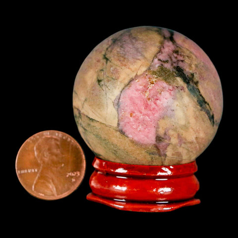 40MM Natural Rhodonite Mineral Crystal Sphere, Ball, Orb Peru Rosewood Stand - Fossil Age Minerals