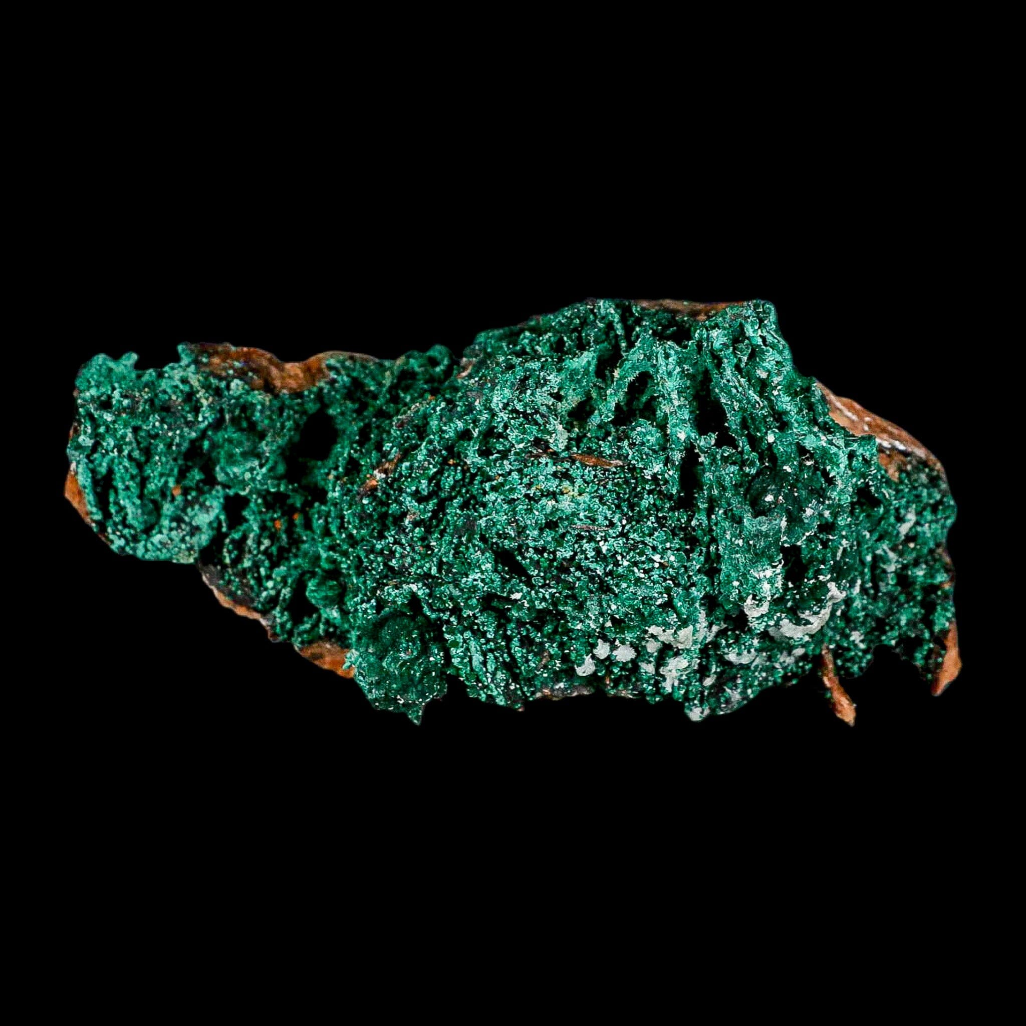 4.4" Dark Green Malachite Crystals On Barite Blades Mineral Specimen Tiznit Morocco - Fossil Age Minerals
