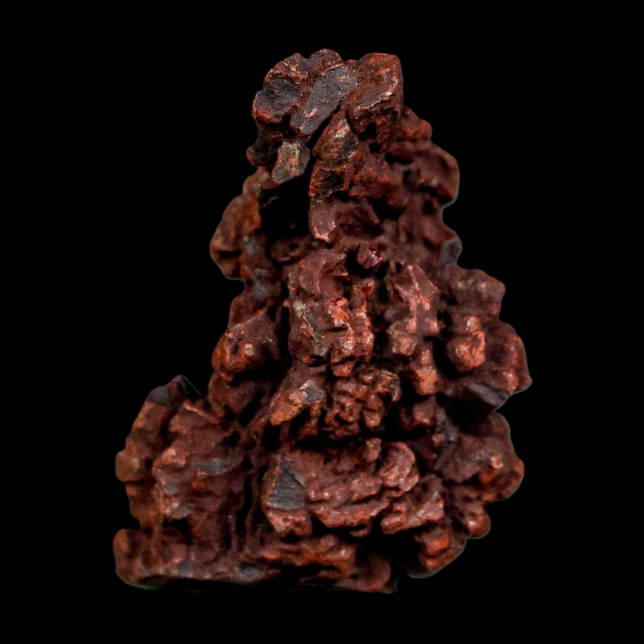 1.9" Prehistoric Coprolite Fossil Specimen Poop Dung Miocene Madagascar - Fossil Age Minerals