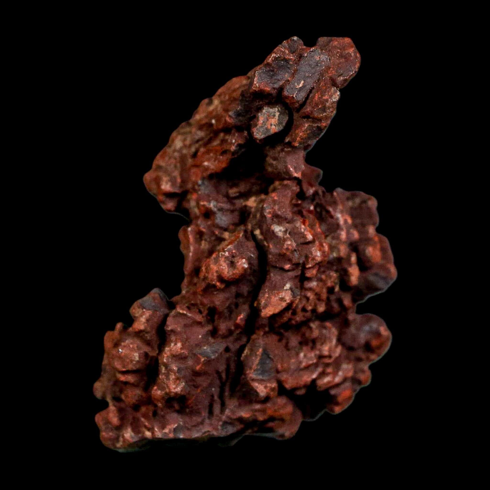 1.9" Prehistoric Coprolite Fossil Specimen Poop Dung Miocene Madagascar - Fossil Age Minerals