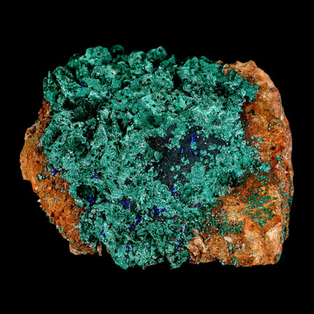 3.8" Dark Green Malachite Crystals On Barite Blades Mineral Specimen Tiznit Morocco