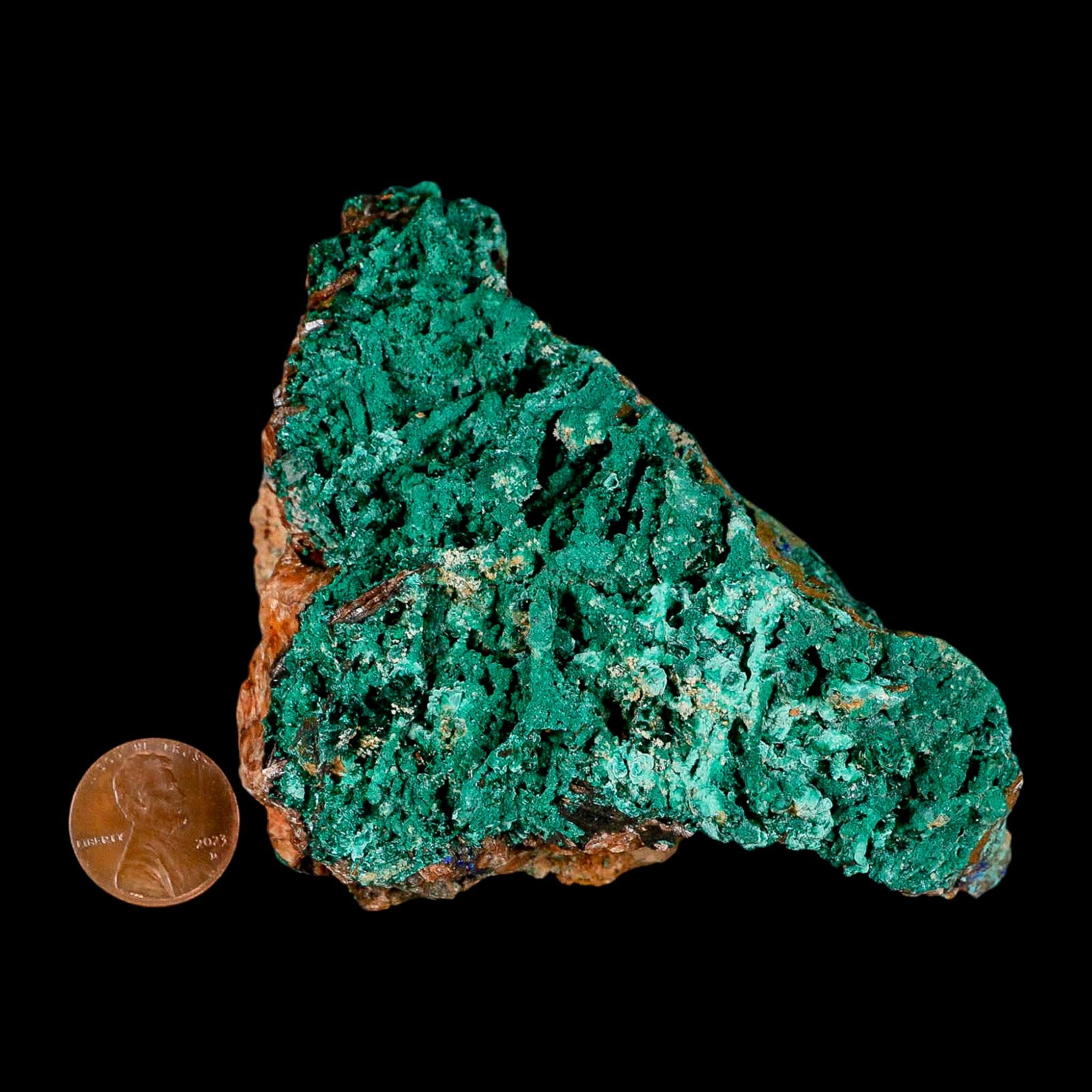 4" Dark Green Malachite Crystals On Barite Blades Mineral Specimen Tiznit Morocco - Fossil Age Minerals