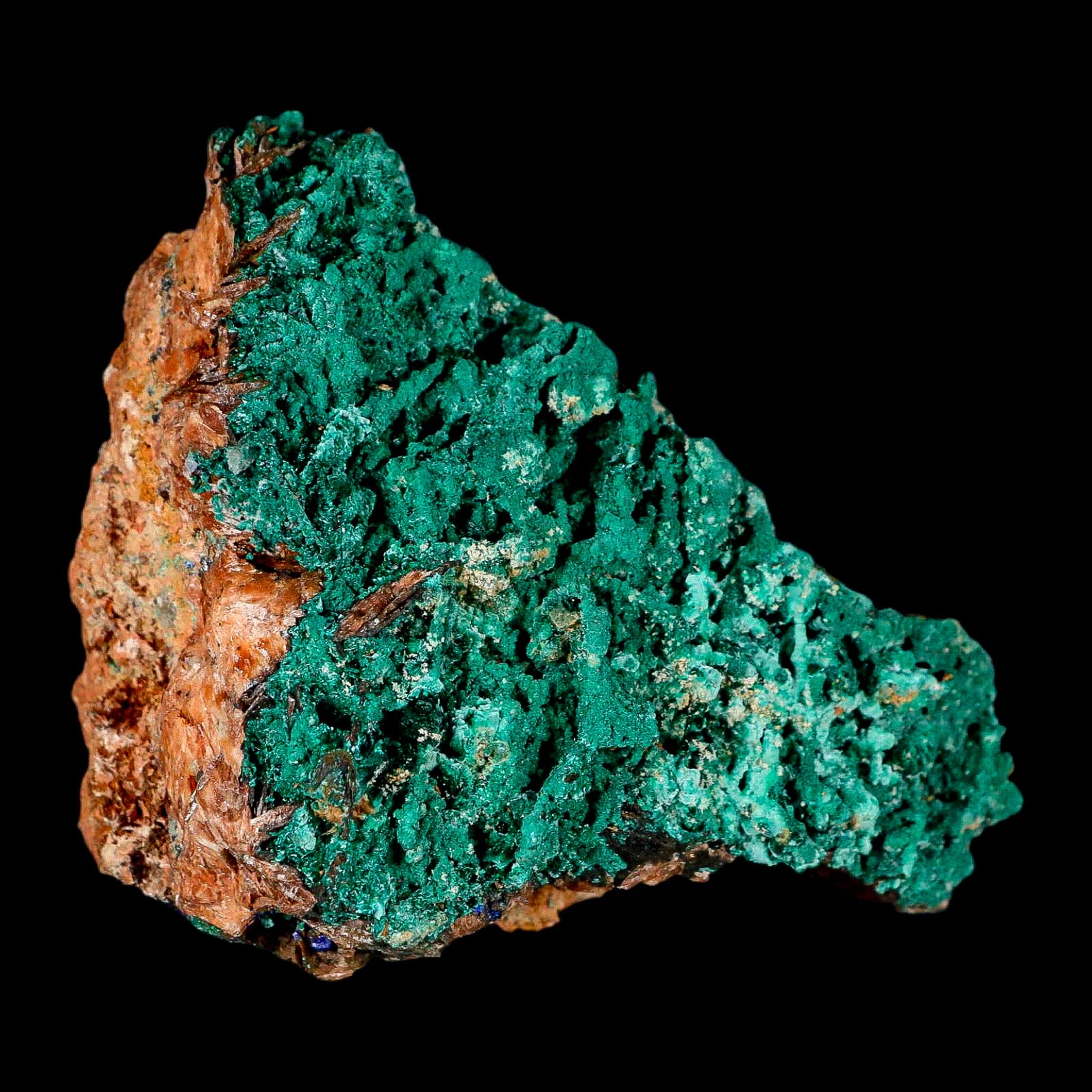 4" Dark Green Malachite Crystals On Barite Blades Mineral Specimen Tiznit Morocco - Fossil Age Minerals