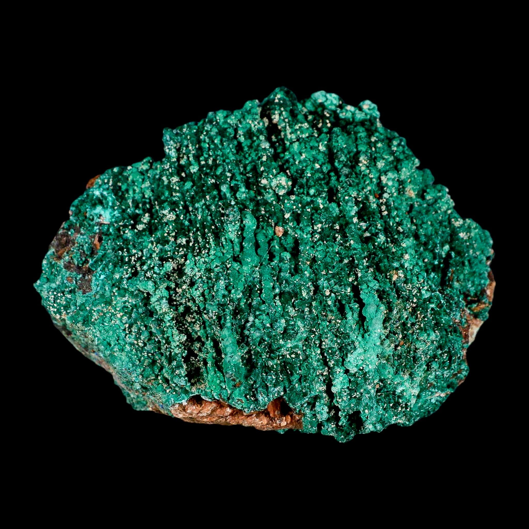 4" Dark Green Malachite Crystals On Barite Blades Mineral Specimen Tiznit Morocco - Fossil Age Minerals