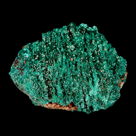 4" Dark Green Malachite Crystals On Barite Blades Mineral Specimen Tiznit Morocco