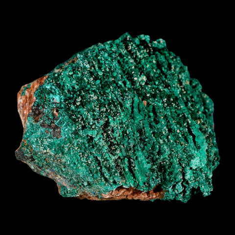 4" Dark Green Malachite Crystals On Barite Blades Mineral Specimen Tiznit Morocco - Fossil Age Minerals