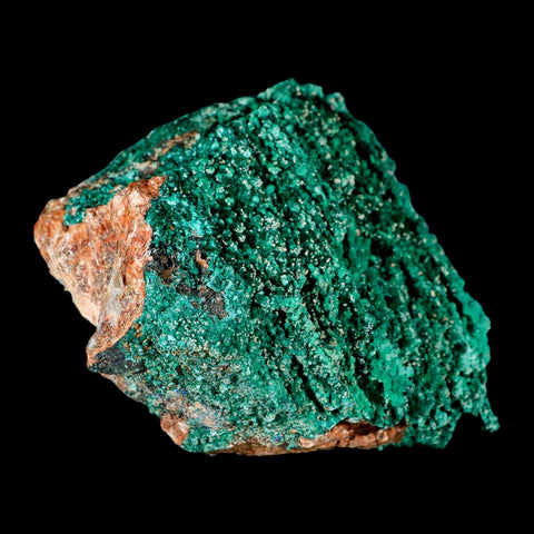 4" Dark Green Malachite Crystals On Barite Blades Mineral Specimen Tiznit Morocco - Fossil Age Minerals