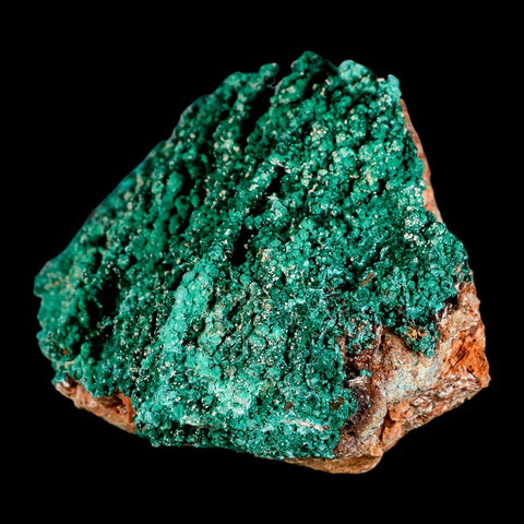 4" Dark Green Malachite Crystals On Barite Blades Mineral Specimen Tiznit Morocco - Fossil Age Minerals