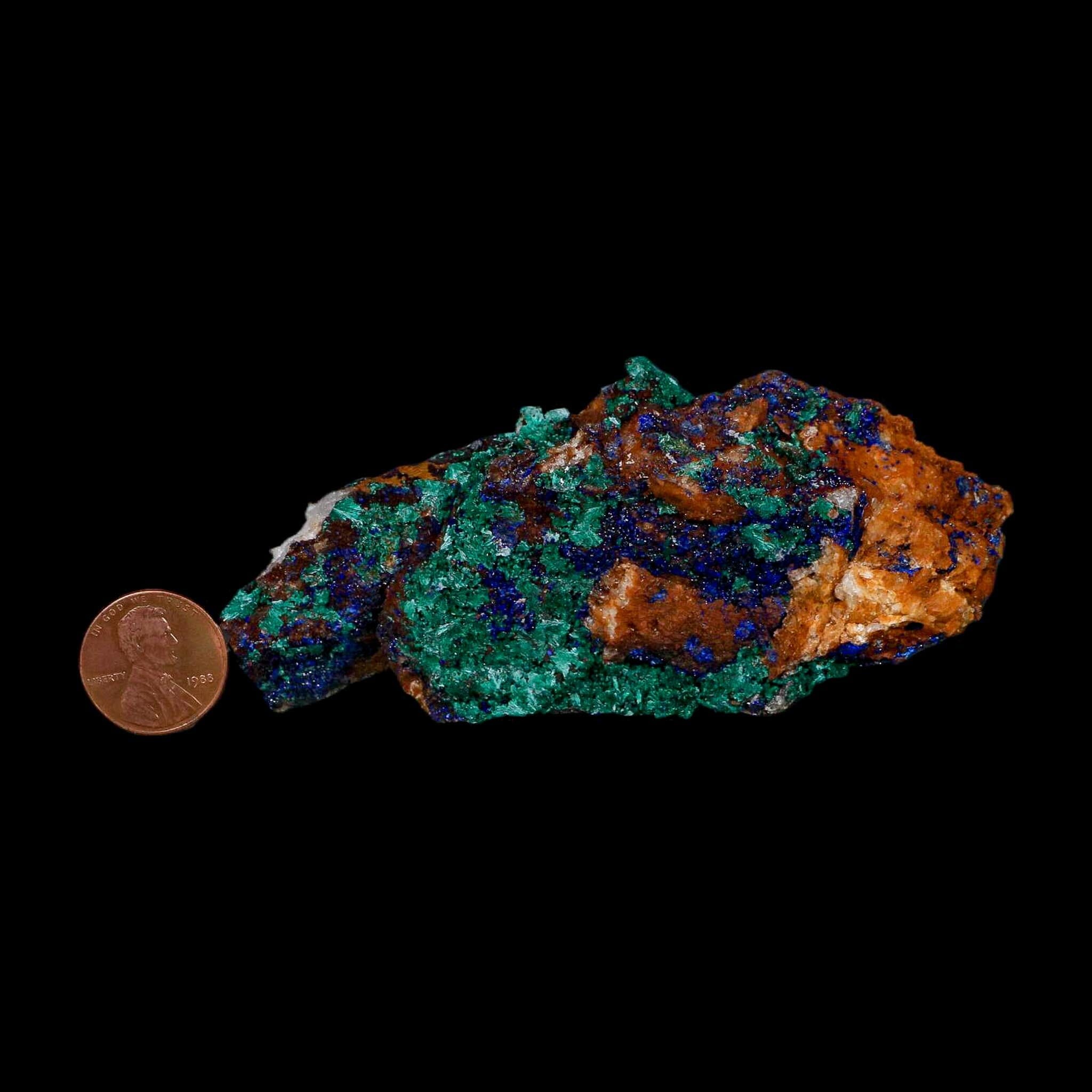 4" Azurite Crystals & Malachite On Matrix Colorful Mineral Specimen Morocco - Fossil Age Minerals