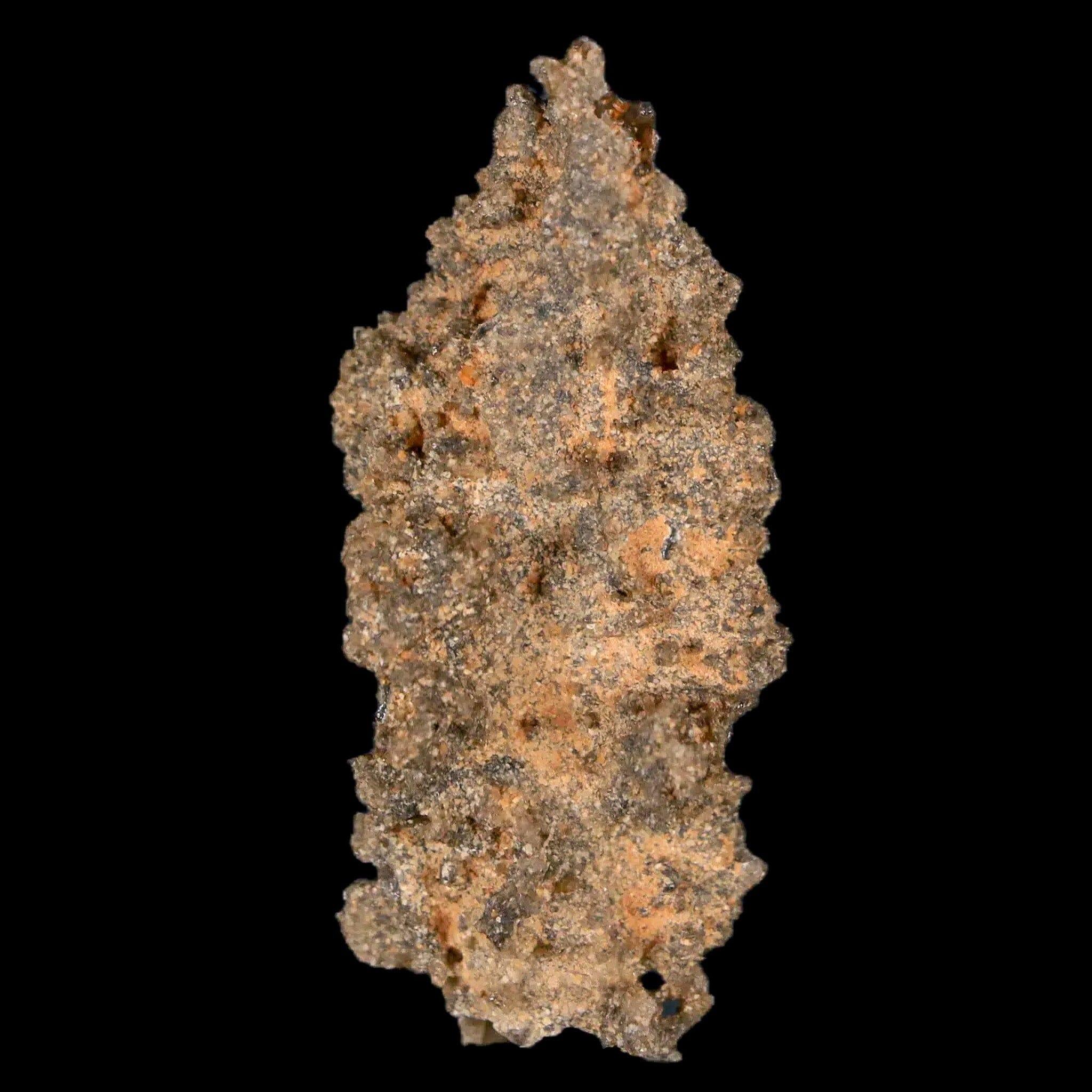 1.7" Fulgurite Petrified Lightning Strike Glass Sahara Desert Algeria - Fossil Age Minerals