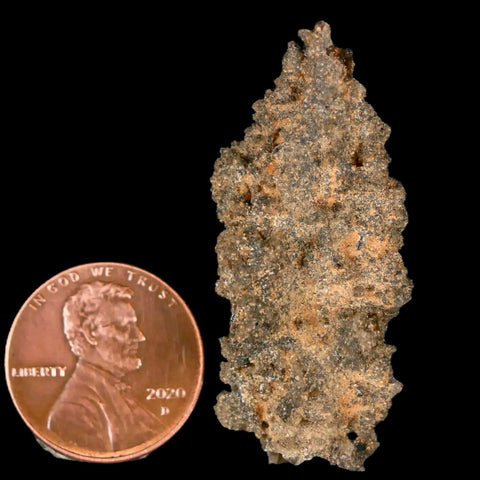 1.7" Fulgurite Petrified Lightning Strike Glass Sahara Desert Algeria - Fossil Age Minerals