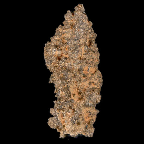 1.7" Fulgurite Petrified Lightning Strike Glass Sahara Desert Algeria - Fossil Age Minerals