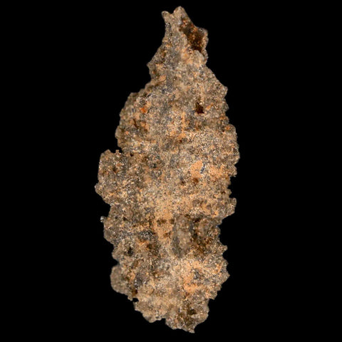 1.7" Fulgurite Petrified Lightning Strike Glass Sahara Desert Algeria - Fossil Age Minerals