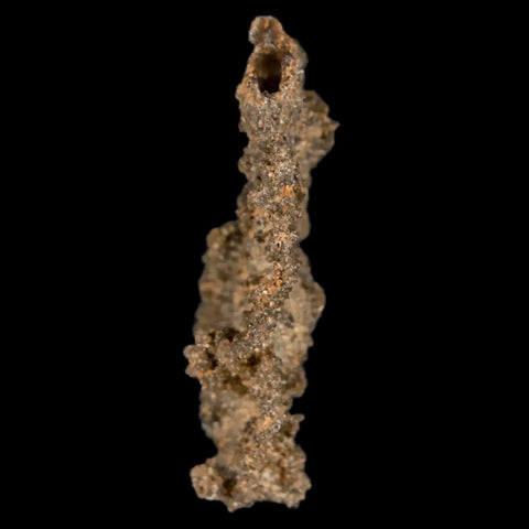 1.7" Fulgurite Petrified Lightning Strike Glass Sahara Desert Algeria - Fossil Age Minerals
