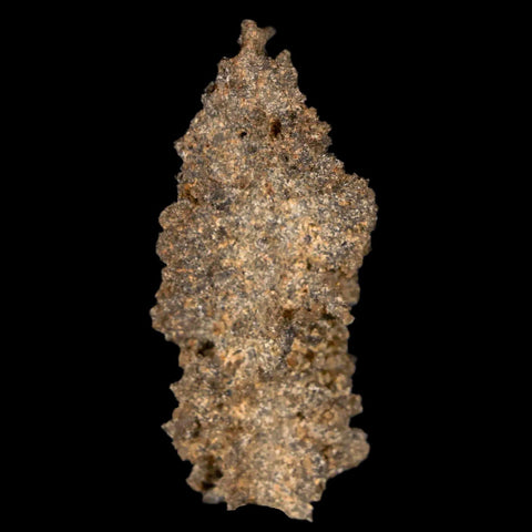 1.7" Fulgurite Petrified Lightning Strike Glass Sahara Desert Algeria - Fossil Age Minerals