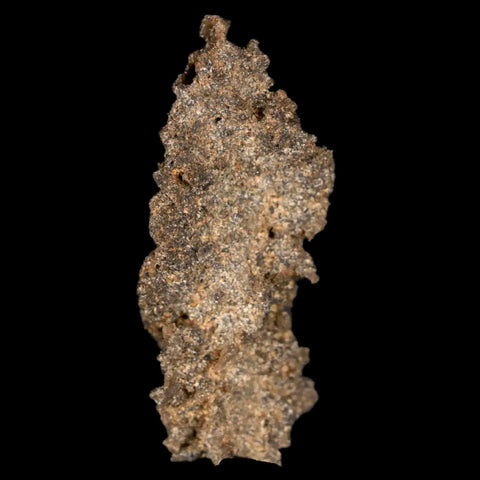 1.7" Fulgurite Petrified Lightning Strike Glass Sahara Desert Algeria - Fossil Age Minerals
