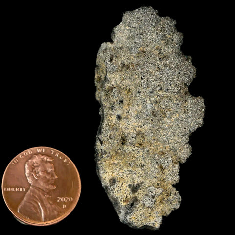 2.1" Fulgurite Petrified Lightning Strike Glass Sahara Desert Algeria - Fossil Age Minerals