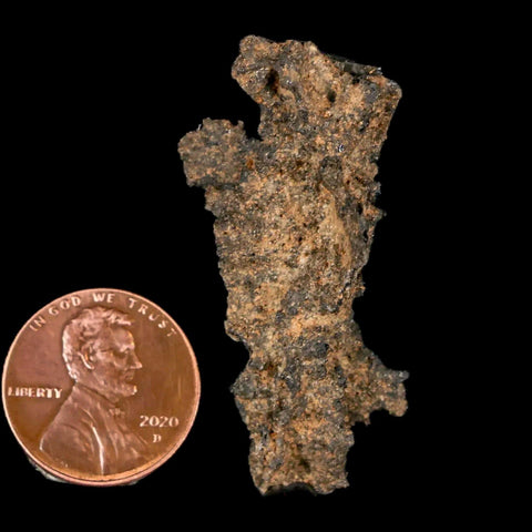 1.7" Fulgurite Petrified Lightning Strike Glass Sahara Desert Algeria - Fossil Age Minerals