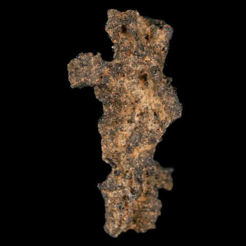 1.7" Fulgurite Petrified Lightning Strike Glass Sahara Desert Algeria - Fossil Age Minerals