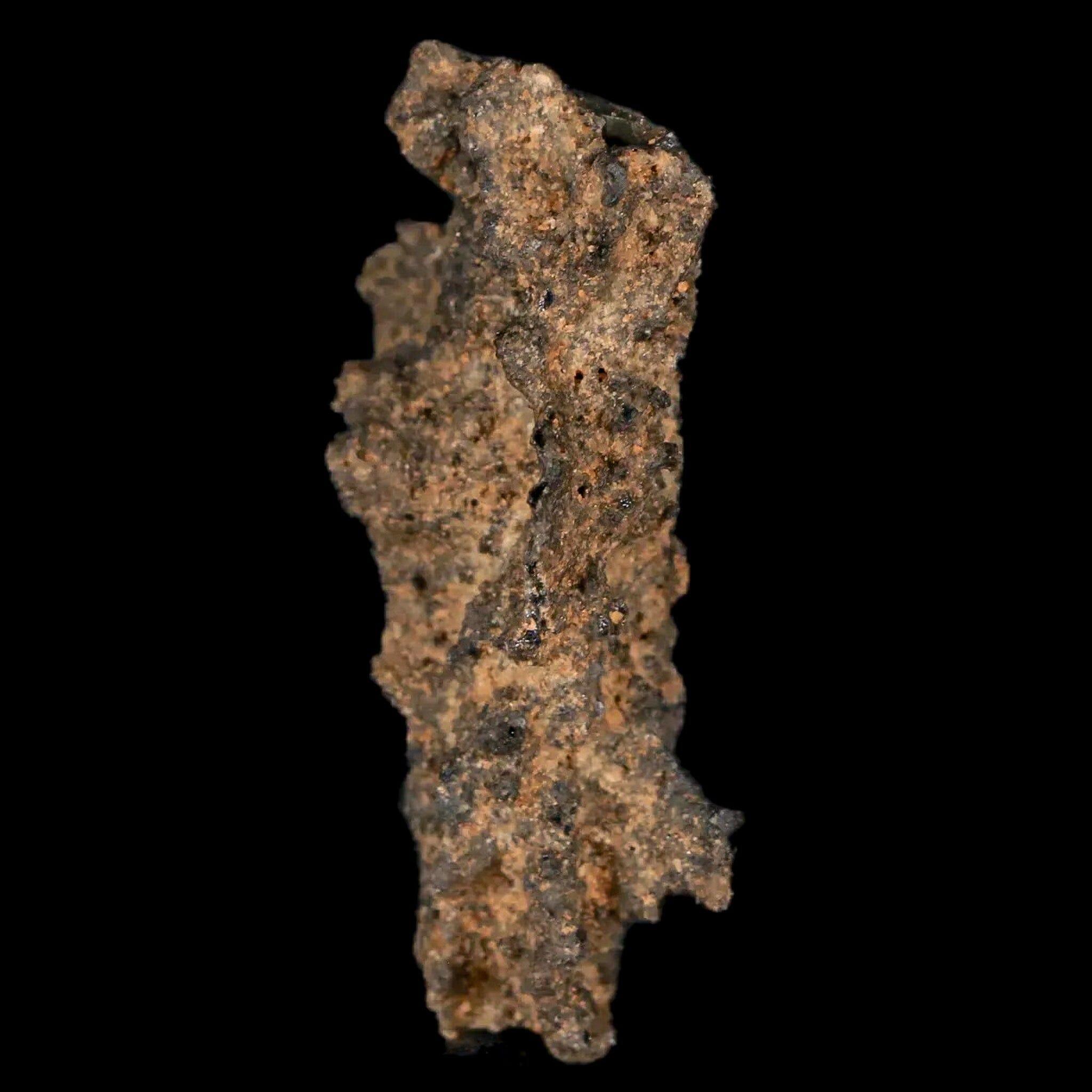 1.7" Fulgurite Petrified Lightning Strike Glass Sahara Desert Algeria - Fossil Age Minerals