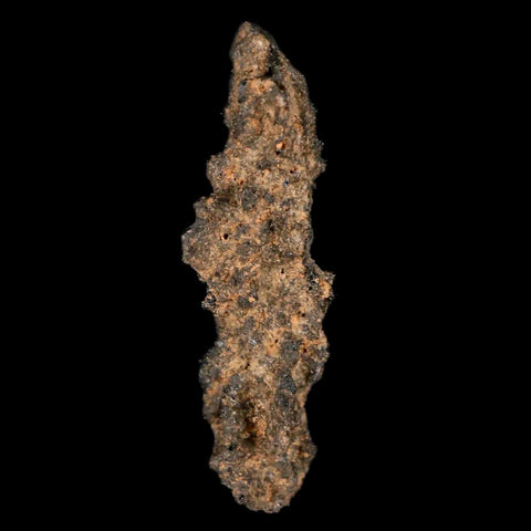 1.7" Fulgurite Petrified Lightning Strike Glass Sahara Desert Algeria - Fossil Age Minerals