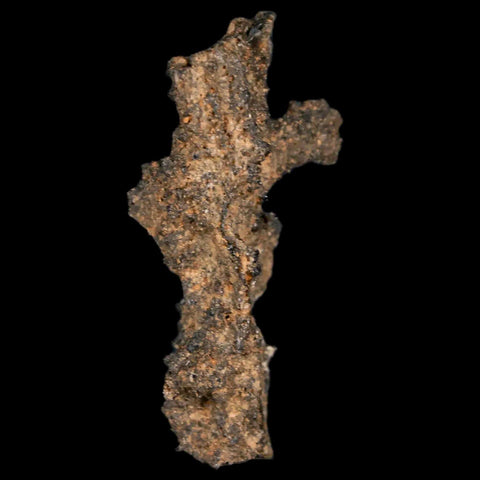 1.7" Fulgurite Petrified Lightning Strike Glass Sahara Desert Algeria - Fossil Age Minerals