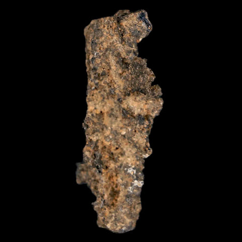 1.7" Fulgurite Petrified Lightning Strike Glass Sahara Desert Algeria - Fossil Age Minerals